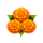 gold of diwali hold and win floawers symbol icon