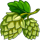 gold oktoberfest hop symbol icon