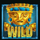 gold trail wild symbol icon