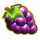 gold winner bonus cherries grape symbol icon