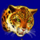 golden book leopard symbol icon