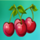 golden chance powerpoints cherry symbol icon