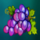 golden chance powerpoints grapes symbol icon