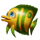 golden fish tank 10 icon