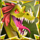 golden gorilla dragon symbol icon