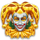 golden joker coins hold and win joker symbol icon