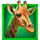 golden lion wheel of fortune giraffe symbol icon