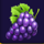 golden tree 100 grapes symbol icon