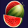 golden tree 100 watermelon symbol icon