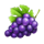 golden tree 20000 buy bonus grape symbol icon