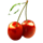 golden tree 40 cherry symbol icon