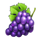golden tree 40 grapes symbol icon