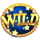 golden wheel wild symbol icon