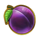 golden winner grand chance plum symbol icon