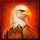 grand buffalo hold and win eagle symbol icon