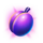 grand emerald nights plum symbol icon