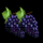 great 27 grapes symbol icon