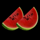 great 27 watermelon symbol icon