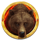 great buffalo bear symbol icon