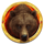 great buffalo hold and win bear symbol icon
