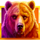 great grizzly bear symbol icon