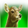 great grizzly deer symbol icon
