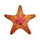 great reef starfish symbol icon