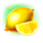 green slot lemon symbol icon