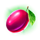 green slot plum symbol icon