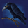 halloween fortune crow symbol icon
