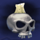 halloween fortune skull symbol icon