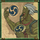 hanzos wild legacy ogre symbol icon