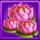happy buddha bonus combo lotus symbol icon