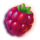 happy cappy berry symbol icon