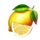 harley quickwin lemon symbol icon