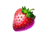 harley quickwin strawberry symbol icon