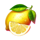 harley surprize lemon symbol icon
