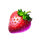 harley surprize strawberry symbol icon