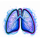 harvest moon grave profits lungs symbol icon