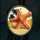 hawaii deluxe starfish symbol icon