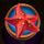 hawaii starfish symbol icon