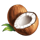 hawaiian waves coconut symbol icon