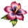 hawaiian waves flower symbol icon