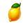 hell cash lemon symbol icon