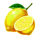 hell fruits lemon symbol icon