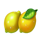 hit coins 2 hold and spin lemons symbol icon