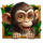 hit the jungle monkey symbol icon