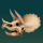 holly molly hole skull symbol icon