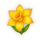 honey royale daffodil symbol icon