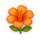 honey royale hibiscus symbol icon